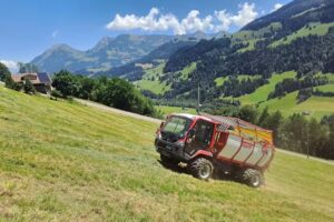 Agenstein + Gafner Mechanik