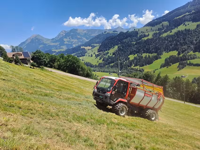 Agenstein + Gafner Mechanik