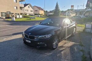 C. Guisolan Automobiles S.à.rl