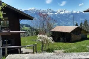 Carxpert Garage Grossniklaus