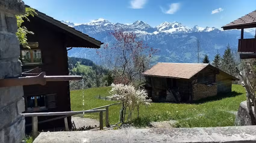 Carxpert Garage Grossniklaus