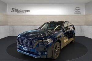 Delta Garage Wädenswil AG