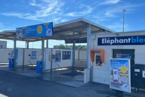 Éléphant Bleu – Boudry