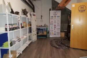 Fabbrica di auto veloci