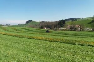 Hubitech Daniel Hubacher