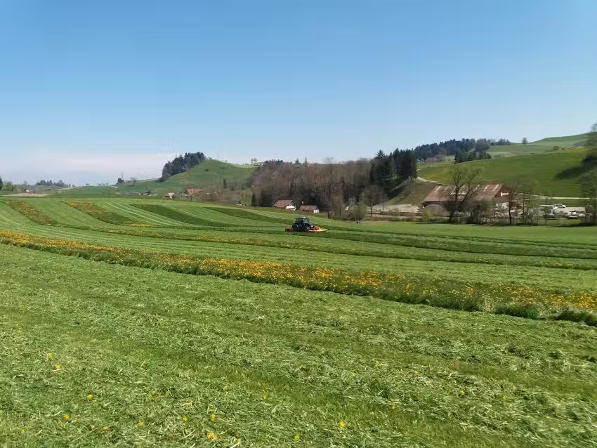 Hubitech Daniel Hubacher