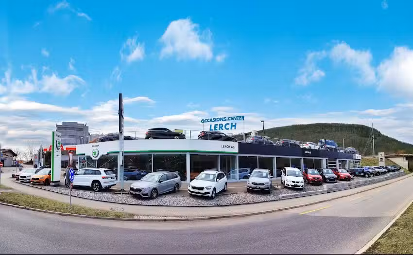 Lerch AG Rothrist