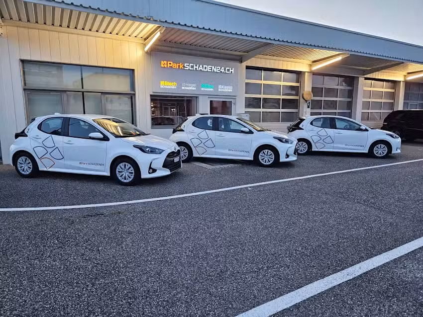 ParkSCHADEN24 dein Partner für Frontscheiben, Hagelschaden, Versicherungsabwicklung, Lackschaden – Aargau