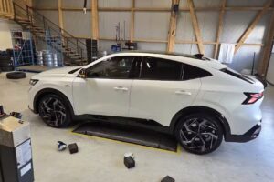 Pneumatico Petrovski