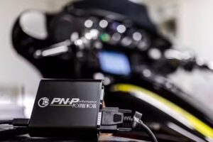 PERFORMANCES DE POIVRE NOIR